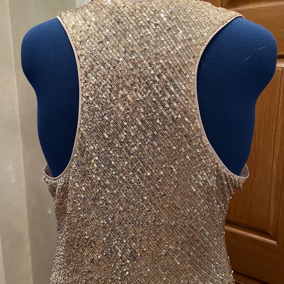 Gold Sequence Banana  Republic Dress - Picture 4 of 8